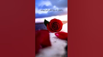 تلاوة هادئة تريح النفس  💚أيات قصيرة من القرآن 💚بصوت جميل جداً 💚أجمل تلاوة تريح القلب والعقل 🎧💗