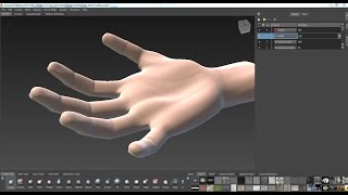 3d human hand model in maya and mudbox
