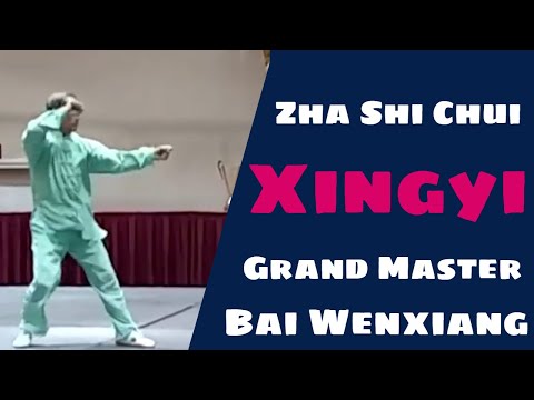 Xingyiquan Form Grand Master Bai Wenxiang ZhaShiChui 河北形意拳 雜式捶 白文祥大师