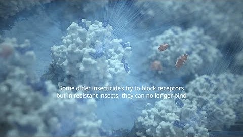 New Mode of Action on Stink Bugs