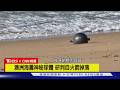【CNN精選】來自太空的炸彈? 澳洲海灘發現6神秘球體｜TVBS新聞 @TVBSNEWS01