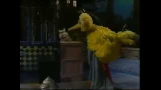 Classic Sesame Street  Nighttime On Sesame Street