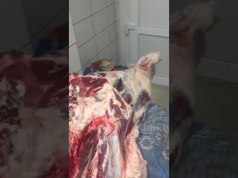 Говяжья вырезка