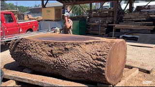 Stihl 090 - 7 foot bar ,Alaskan milling - historic massive walnut tree