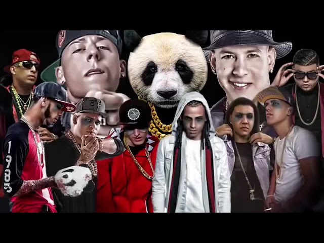 Panda remix bad bunny ....