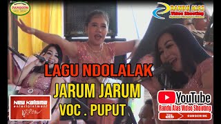 JARUM JARUM - LAGU NDOLALAK - PUPUT- NEW KALISMA