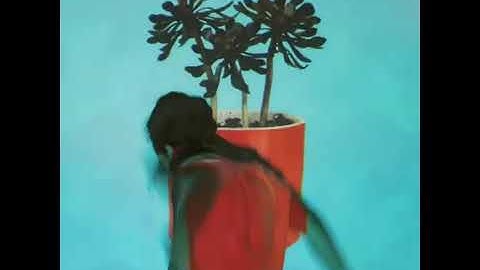 LOCAL NATIVES