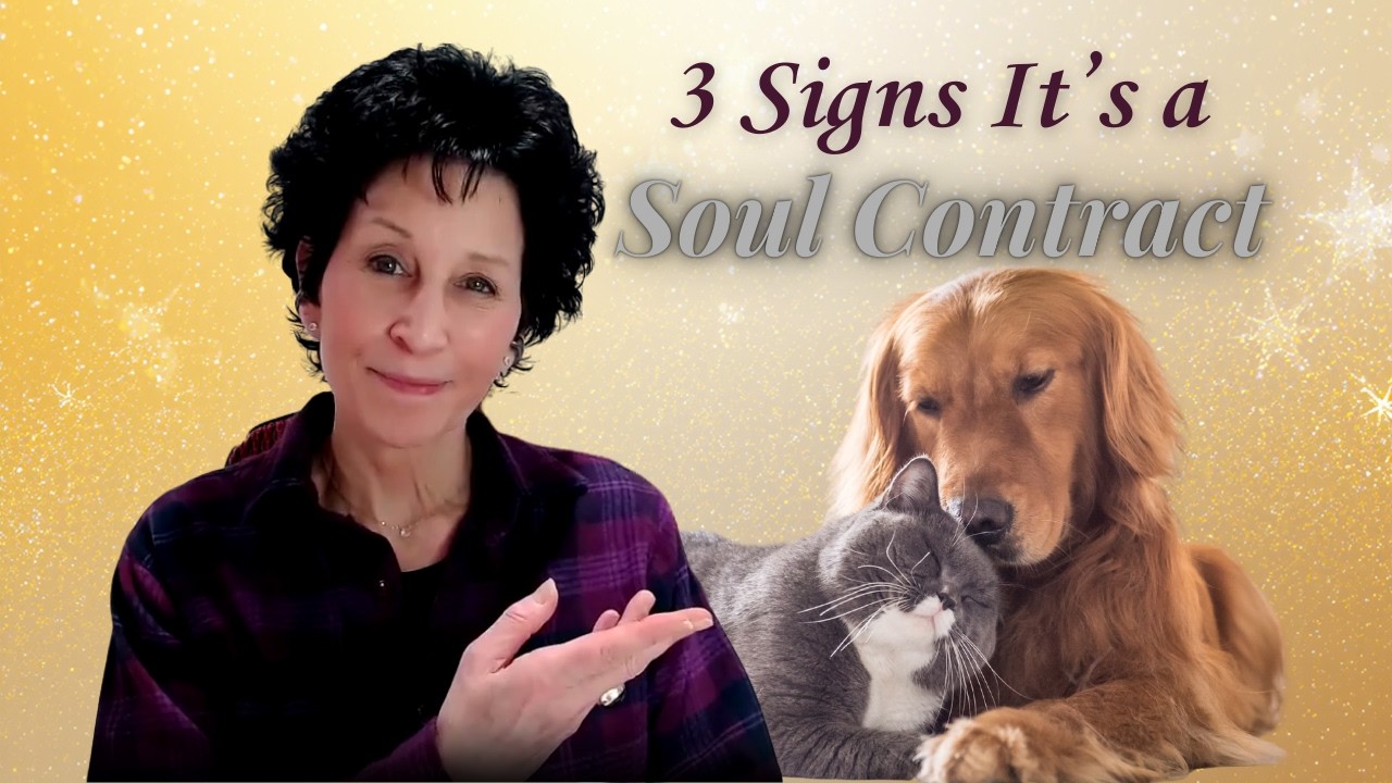 Your Animal's Deeper Purpose | 3 Soul Contract Indicators