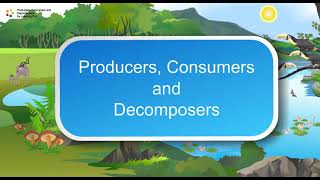 producers, consumer and decomposer #animated #animation