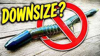 Pros Say Downsize… They’re WRONG (Do THIS Instead)