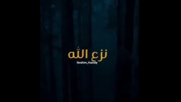 من قرا سورة الاخلاص احل مع الشيخ عبدالحميد كشك