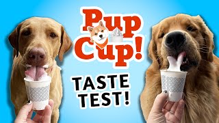 GOLDEN & LAB DO A PUP CUP TASTE TEST! | DOGMAS #18