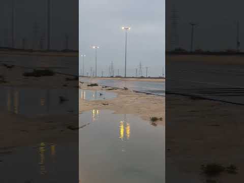 ابوحميد شبة ضو رشة مطر سجه الكويت الوفره المزرعه