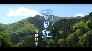 成世昌平「百日紅」MUSIC VIDEO