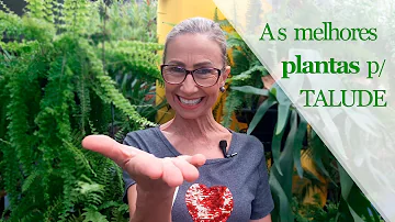 O que plantar num talude?