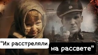 ЧУЛОЧКИ дядя тоже сеять? "Их расстреляли на рассвете" Дмитрий Максаков