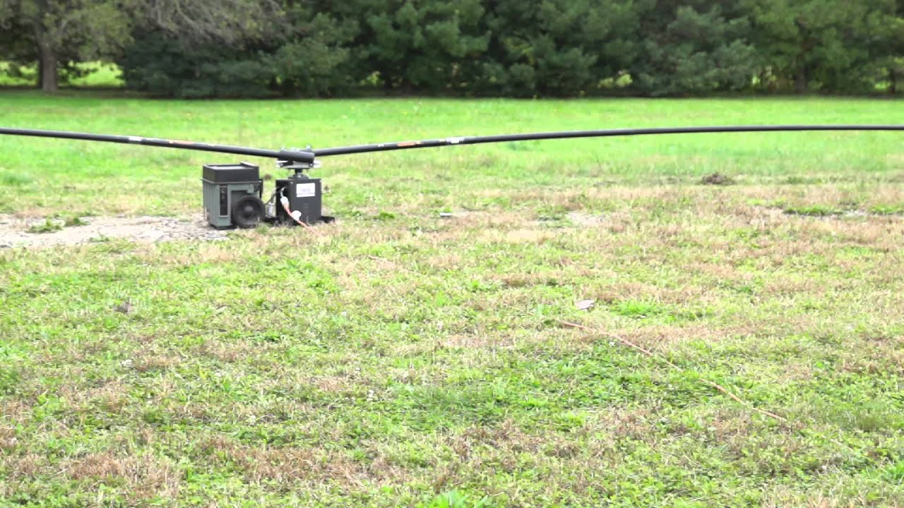 control epic games Bird Control Bird Broom in Action Chasing Chick