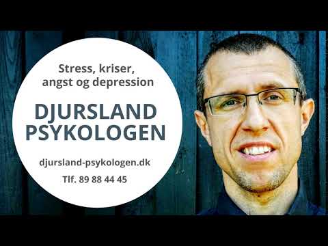 Video: At Overvinde Angst Eller Det Første Møde Med En Psykolog