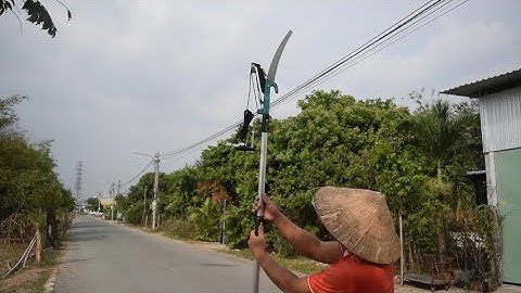 kéo cắt cành trên cao 5m dựt dây đầu kéo SK5 hợp kim nhôm siêu nhẹ