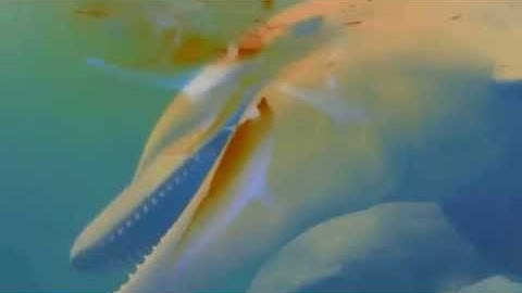 Dozing Glint & HAJ300 feat. Synthino XM