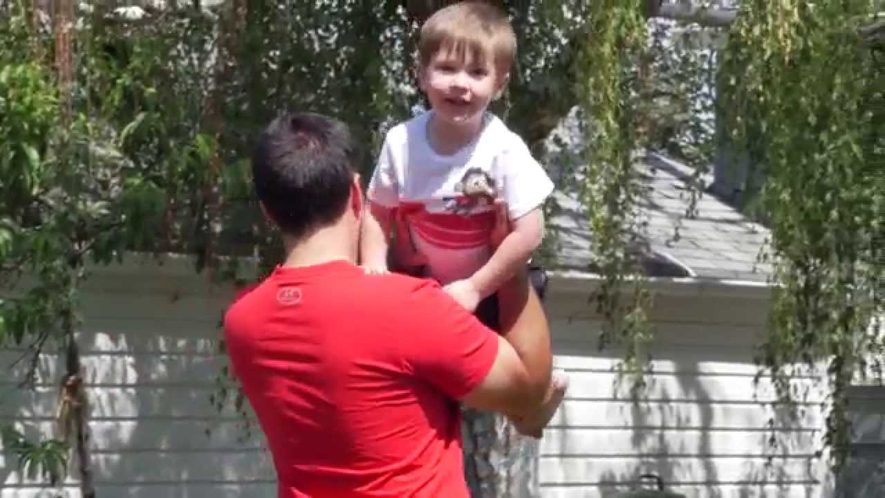 Who is Sherpa Solution?