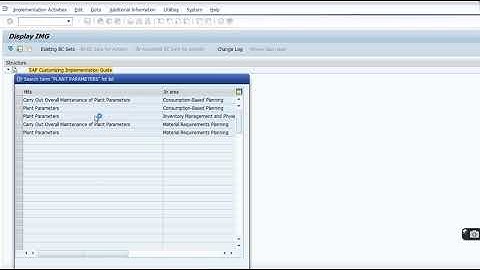 SAP PP/MM  Check table T159L: Entry "Plant Name" doesn