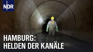 Hamburgs Unterwelt: Arbeiten unter der Stadt | Die Nordreportage | NDR Doku