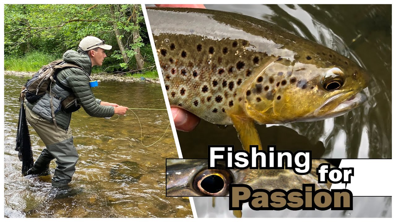 Fliegenfischen an der Murg | Baiersbronn | Black Forest