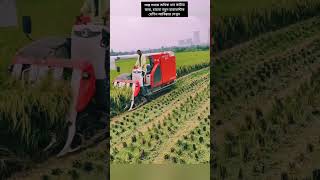 শ্রমিক সংকটের সমাধান! চায়না হারভেস্টার বদলে দিচ্ছে গ্রামবাংলা