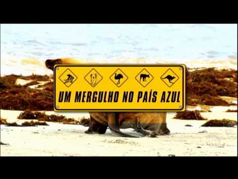 Vídeo: 11 Espécies Bizarras Para Procurar Em Um Mergulho Na Grande Barreira De Corais [fotos] - Matador Network