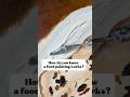 Painting German Stollen and the only test that matters: does it make you hungry? #foodart #painting