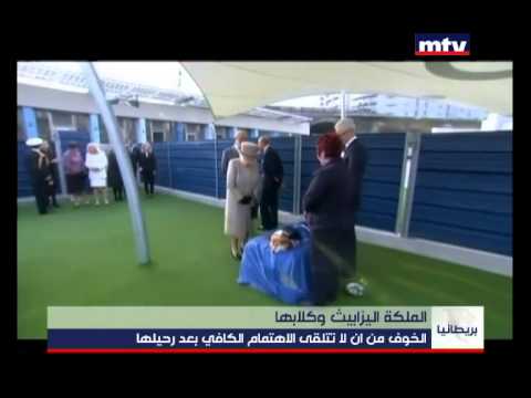 Prime Time News - 16/07/2015 - الملكة اليزابيث وكلابها