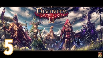 THE TURTLE FIGHT - Divinity Original Sin 2 - Part Five