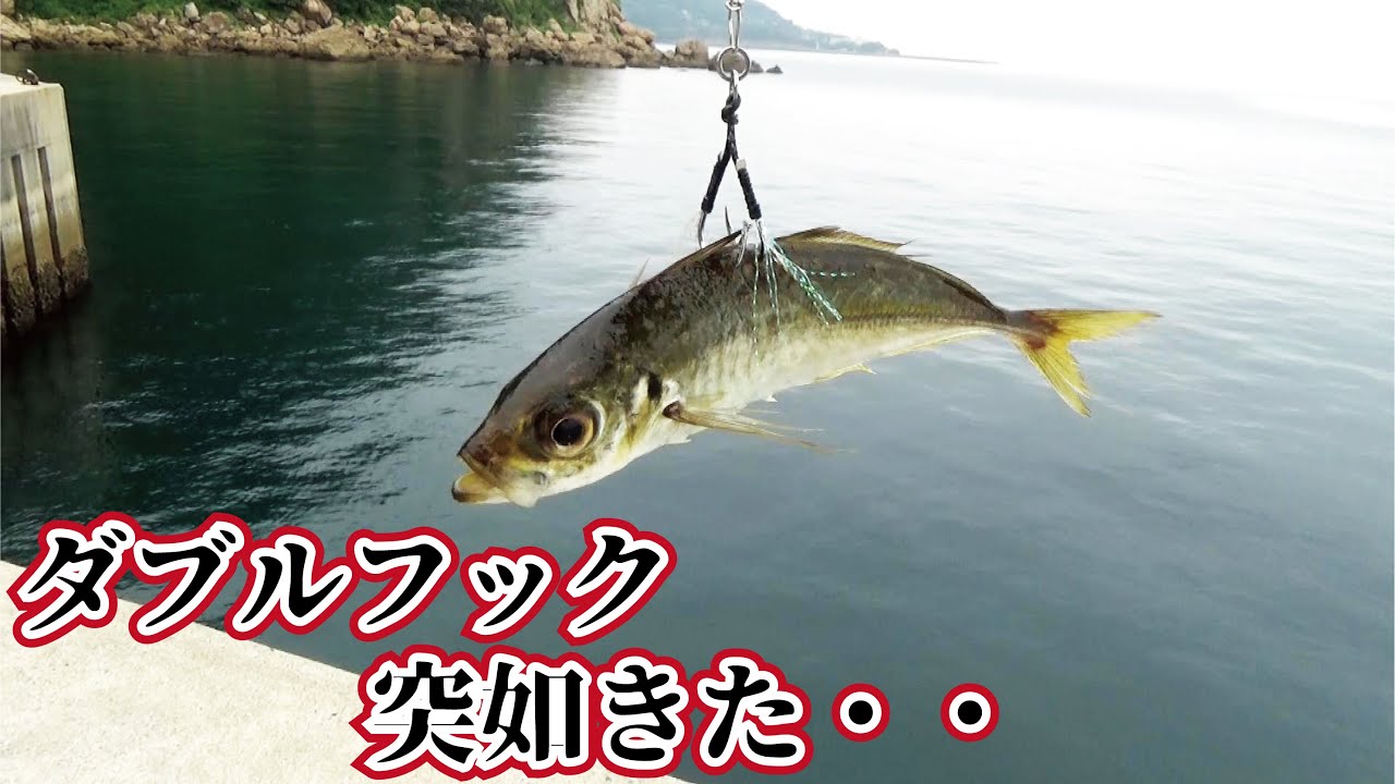 釣り スギ 四平 堤防