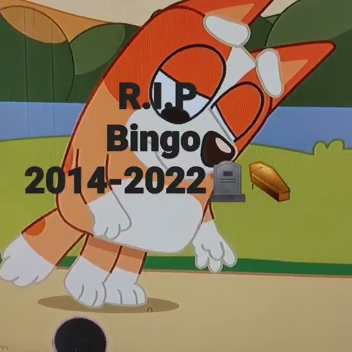 bingo dies at Age 4🪦🪦🪦🪦⚰️⚰️⚰️⚰️