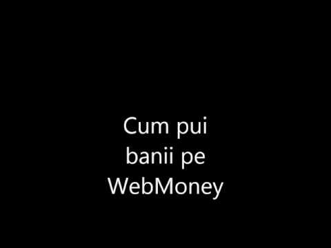 câștigați bani pe internet pe webmoney