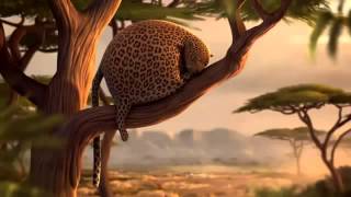Rollin' Safari -- a Brilliant Animated Short Movie