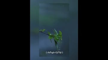 { وَمِنْ آيَاتِهِ أَنَّكَ تَرَى الأرْضَ خَاشِعَةً }سورة فصلت|القارئ إسلام صبحي