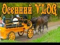 VLOG: Kolomenskoye in Moscow. Прогулка в Коломенском.