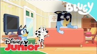 Bluey Bluey Y Sus Amigos Disney Junior Oficial