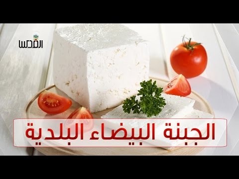 صناعة الجبنة البضاء البلدية صنع في فلسطين