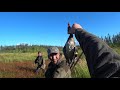 Охота на уток с лабрадором Тоби. Hunting with a labrador in Yakutia.