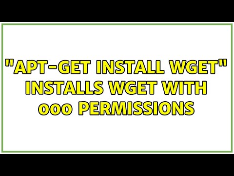 "apt-get install wget" installs wget with 000 permissions