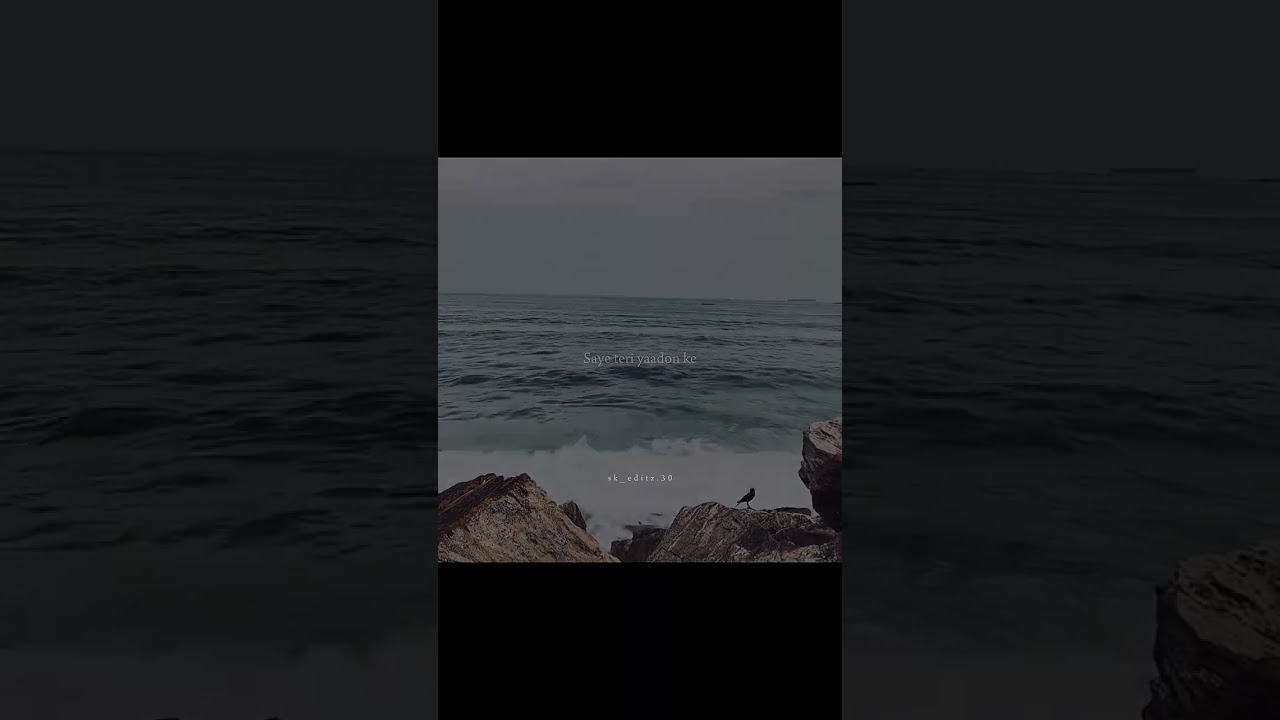 Saye teri yaadon ke #lyricsreels #songlyrics #lyricsvideo #lyricalstatus #musicshorts