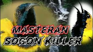 SOGON INDIGO ,BEDJO, KILLER MASTERAN 💥