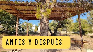 #3 ANTES y DESPUÉS de mi Finca . Encuentro un TESORO  #offgrid #vidarural #vlog #camping