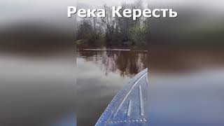 Что сливают в реку Кересть. Рыбалка в Ленинградской области