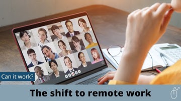 The Benefits and Challenges of Remote and Hybrid Work: Insights from a Technology Company