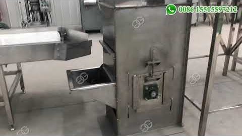 1 T Hr Cocoa Bean Processing Plant Cost