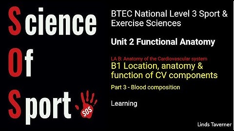 Unit 2 Functional Anatomy - B1 Location, anatomy & function of CV components (Part 3) Blood